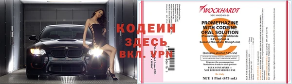 дмт Осташков