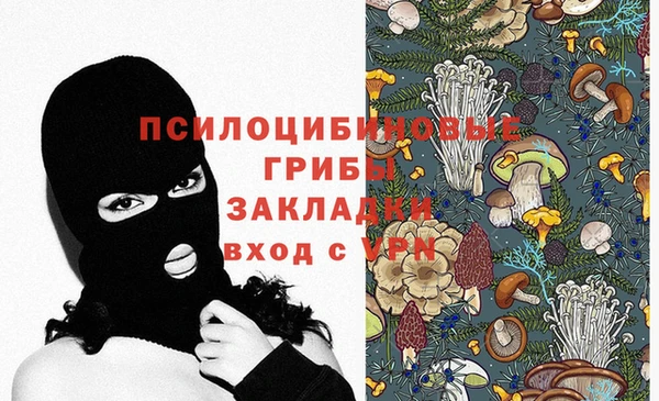 гидропоника Карпинск