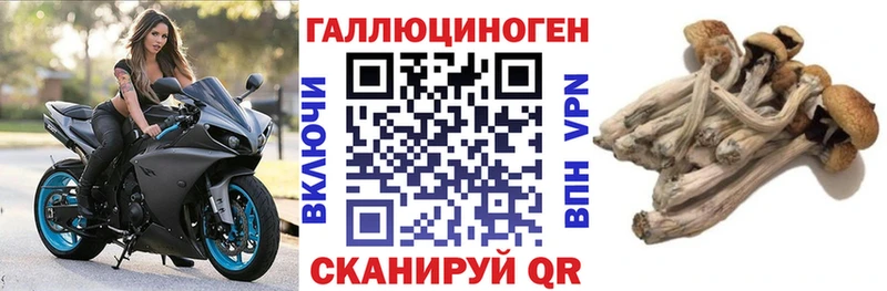 наркотики  МЕГА маркетплейс  Псилоцибиновые грибы ЛСД  Истра 
